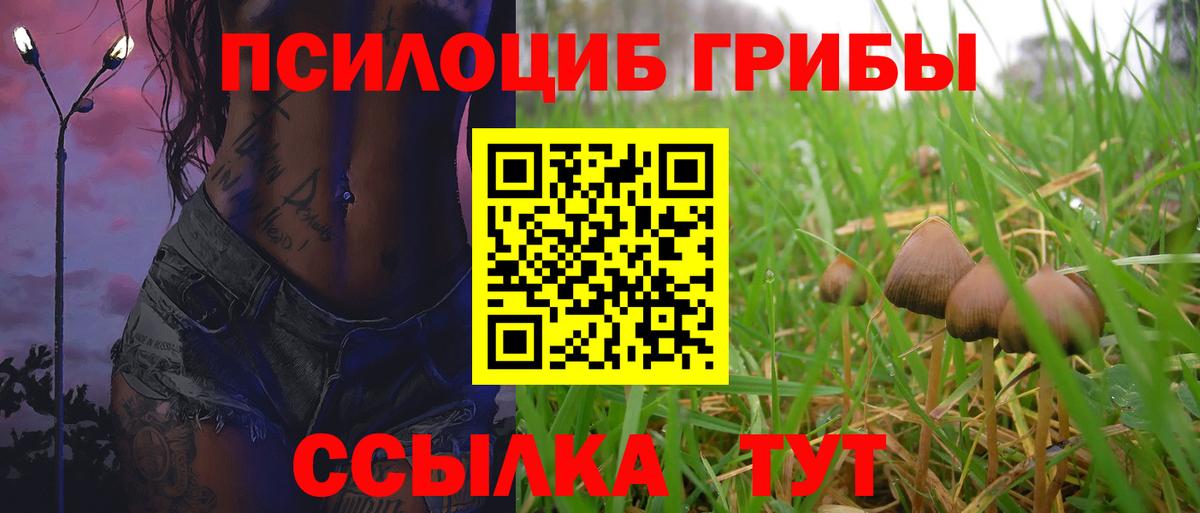 Новосибирск  Псилоцибиновые грибы мицелий  где купить наркоту  Вход с VPN  Галлюциногенные грибы GOLDEN TEACHER 